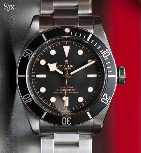 tudor black bay 2024